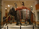 Mughal Warrior Elephant