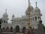 Gurdwara Sri Guru Tegh Bahadur Sahib Maiser Khana