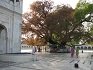 Gurdwara Sri Nanak Matta Sahib