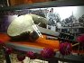 Gurdwara Sri Padal Sahib