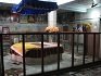 Gurdwara Sri Thara Sahib Samana