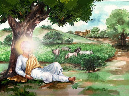 Guru Nanak Grazing Cattle