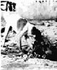Sikh Genocide