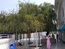 Gurdwara Sri Charan Kanwal Sahib