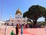 Gurdwara Sri Dera Baba Nanak Sahib
