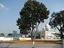 Gurdwara Sri Guru Arjan Sahib Ate Guru Tegh Bahadur Sahib Karhali