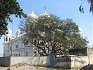 Gurdwara Sri Guru Hargobind Sahib Jandali