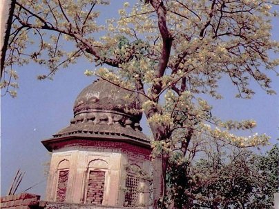Gurdwara Sri Guru Hargobind Sahib Minhala