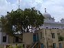 Gurdwara Sri Guru Tegh Bahadur Sahib Mullowal