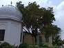 Gurdwara Sri Guru Tegh Bahadur Sahib Mullowal