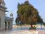 Gurdwara Sri Gurusar Panjuana Sahib Lamma