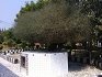 Gurdwara Sri Gurusar Sahib Pato Hira Singh