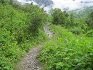Valley Of Flowers