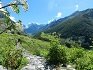 Valley Of Flowers