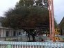 Gurdwara Sri Karir Sahib