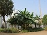 Gurdwara Sri Manji Sahib Alo Arkh