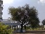 Gurdwara Sri Manji Sahib Ghulal