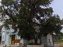 Gurdwara Sri Manji Sahib Nanakpur Jaghera