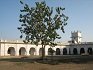 Gurdwara Sri Nabha Sahib