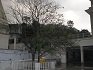 Gurdwara Sri Reetha Sahib