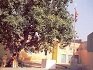 Gurdwara Sri Shaheed Ganj Singh Singhnian