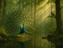 The Proud Peacock and the Quiet Dove