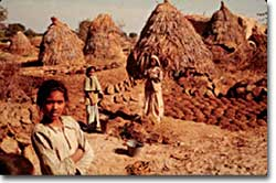 The Caste System | Discover Sikhism