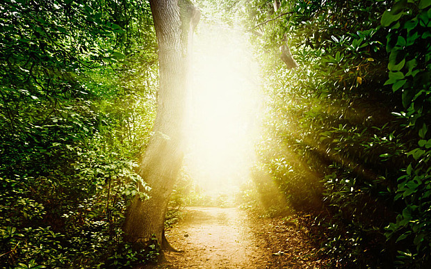 Life After Death